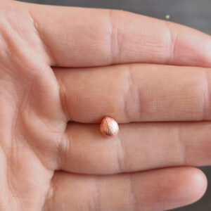 Coco Major Tragus