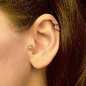 Taşlı Yunus Balığı Tragus Küpe